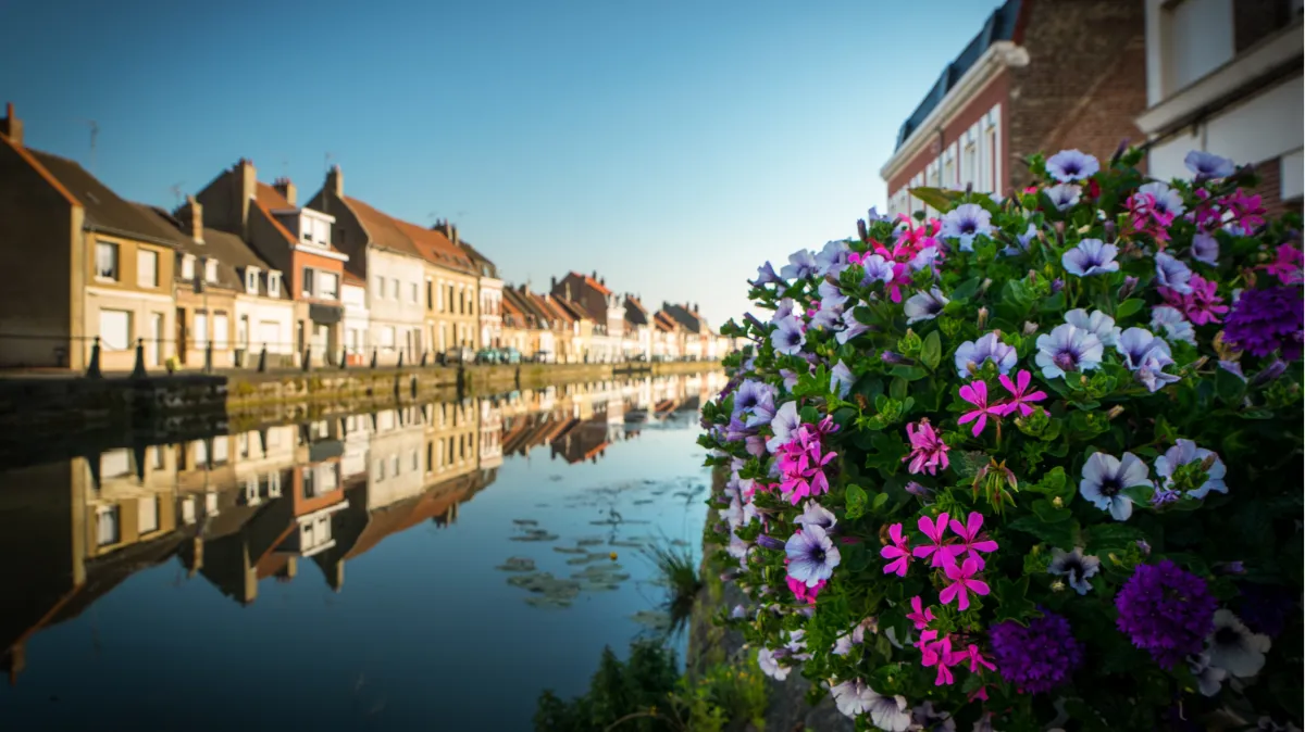 Programme Immobilier Saint-Omer Le 1845 Denormandie photo 2 